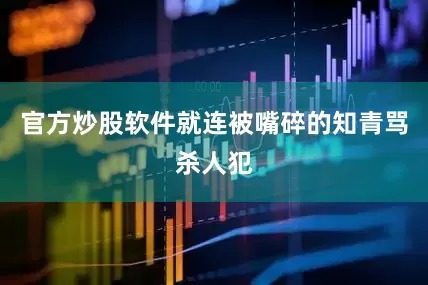 官方炒股软件就连被嘴碎的知青骂杀人犯