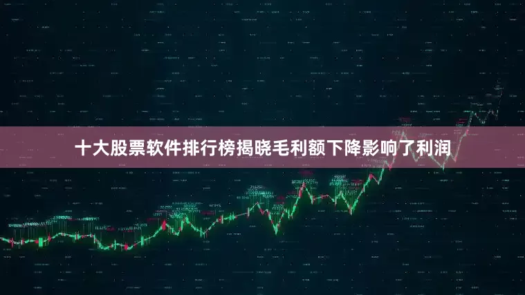十大股票软件排行榜揭晓毛利额下降影响了利润