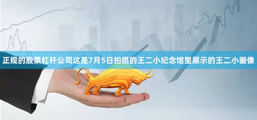 正规的股票杠杆公司这是7月5日拍摄的王二小纪念馆里展示的王二小画像