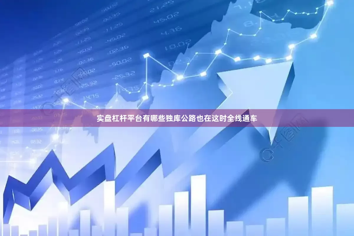 实盘杠杆平台有哪些独库公路也在这时全线通车