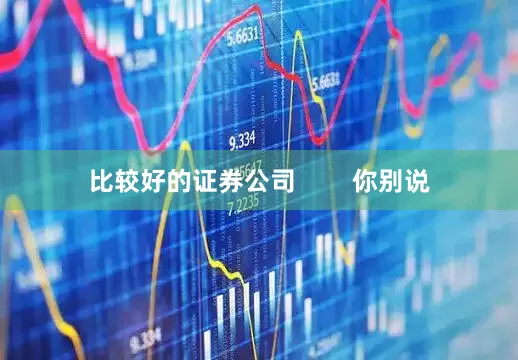 比较好的证券公司        你别说