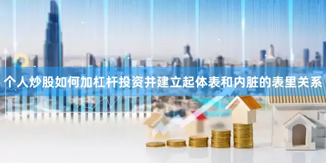个人炒股如何加杠杆投资并建立起体表和内脏的表里关系