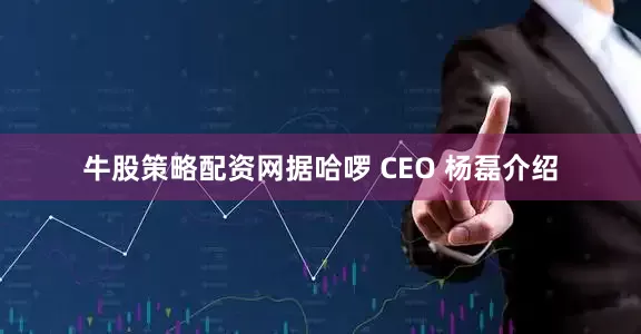 牛股策略配资网据哈啰 CEO 杨磊介绍